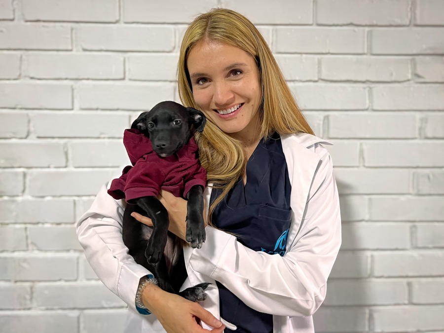 Veterinaria de VIPet sosteniendo con cariño a un cachorro rescatado